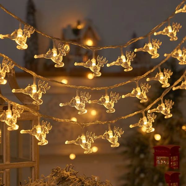 Hanging Lamp String Light